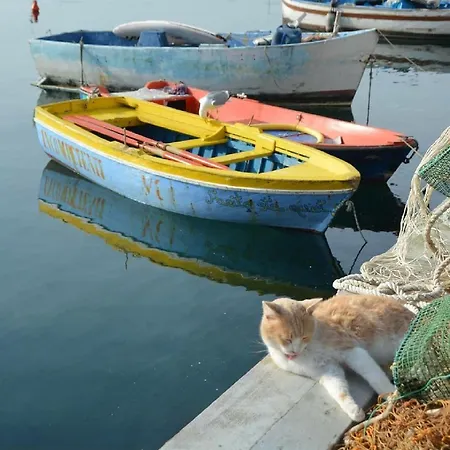 Maridea Apartman Procida